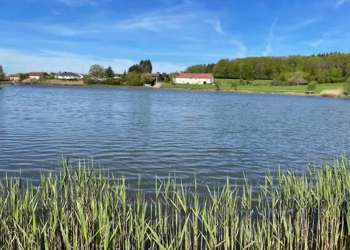 Maison Plain-pied A 10 Min D'epinal: Jardin Clos, Bbq, Wifi, Draps Et Menage Inclus - Fr-1-589-606 Semesterbostad Dounoux