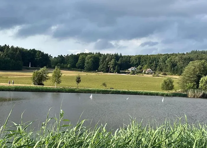 Maison Plain-pied A 10 Min D'epinal: Jardin Clos, Bbq, Wifi, Draps Et Menage Inclus - Fr-1-589-606 Dounoux